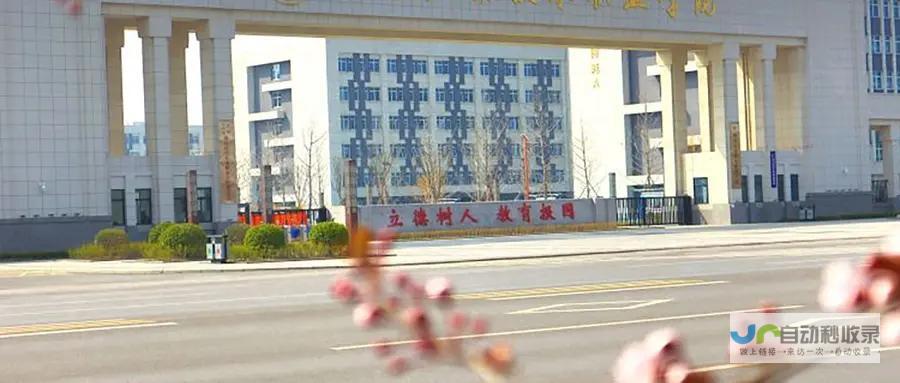 邢台专业网站建设服务：从设计到推广，全方位助力企业网络营销，快速获取客户