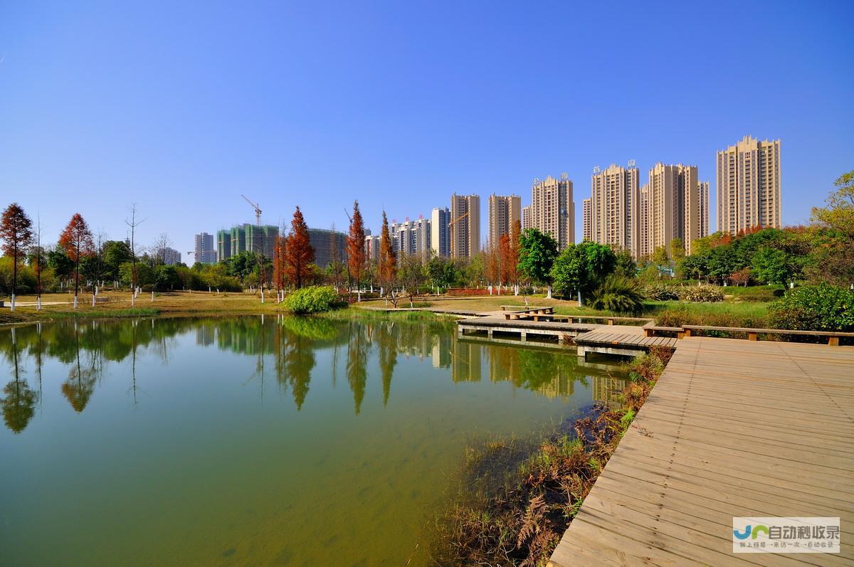 江西本地SEO服务：助力企业网站在搜索引擎中脱颖而出
