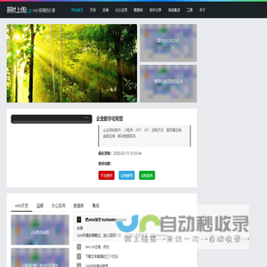 辰时上线-谜团 - 谜团